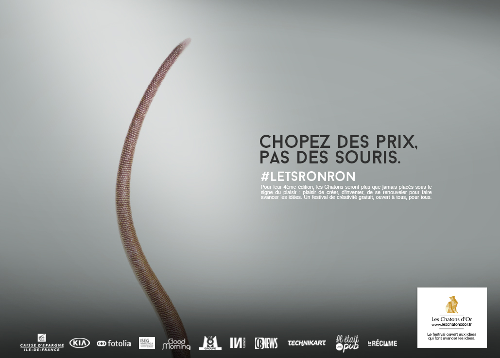 dans-ta-pub-lets-ronron-chatons-dor-2015-concours-idée-création-5