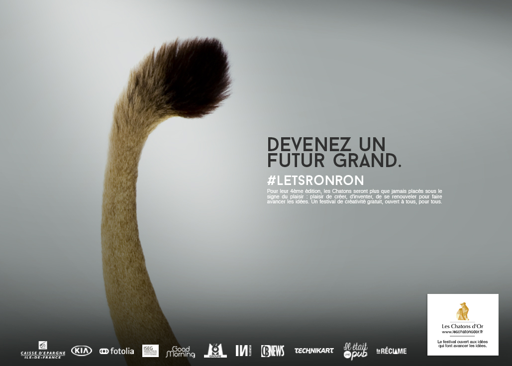 dans-ta-pub-lets-ronron-chatons-dor-2015-concours-idée-création-7