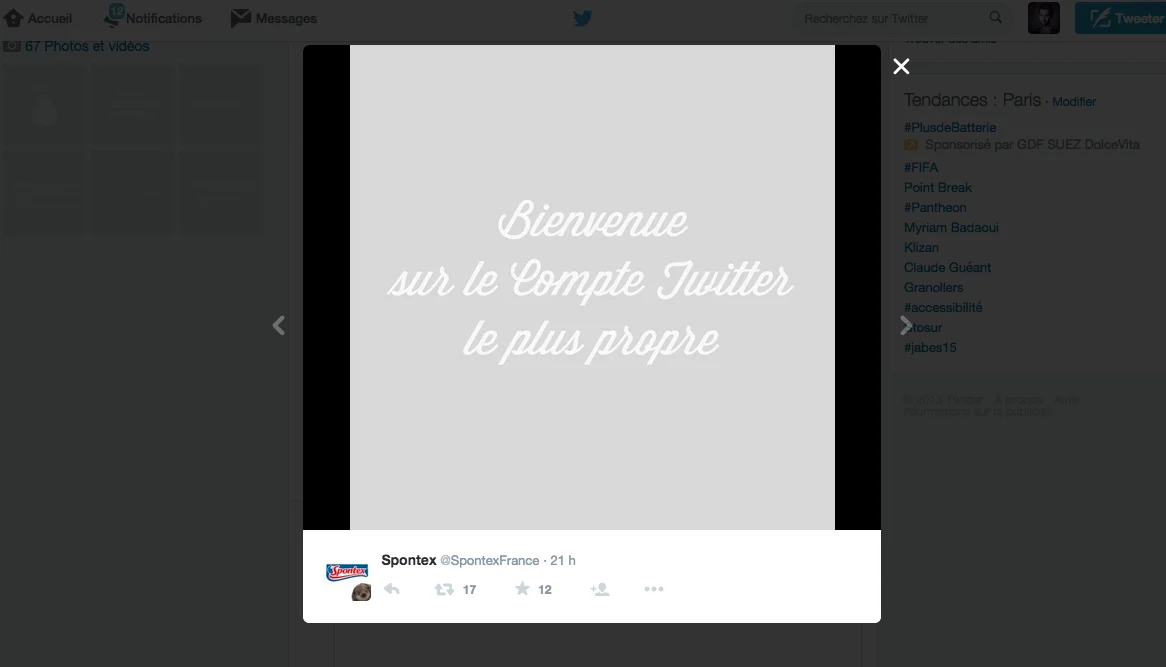 dans-ta-pub-spontex-blanc-twitter-1