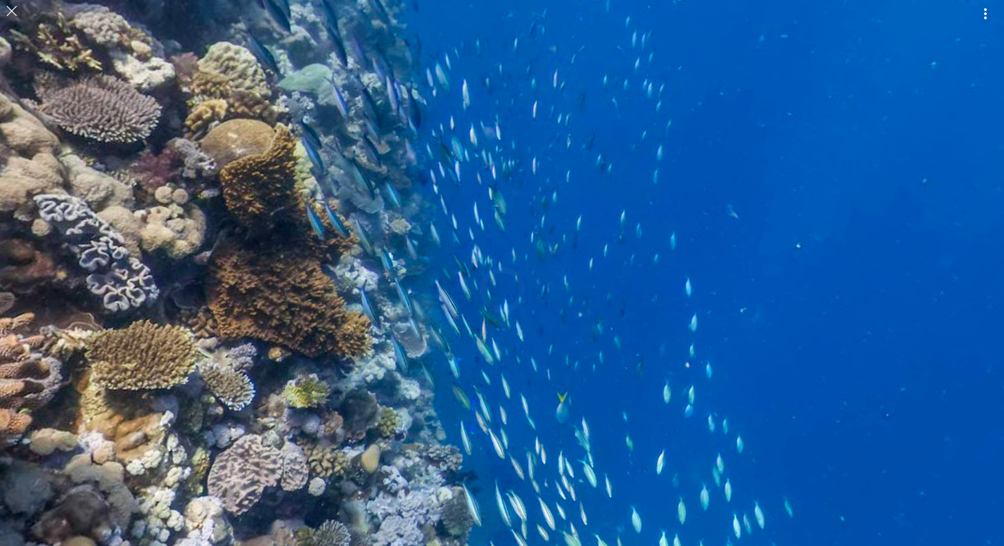 dans-ta-pub-WWF-Google-Its-Your-Reef-3