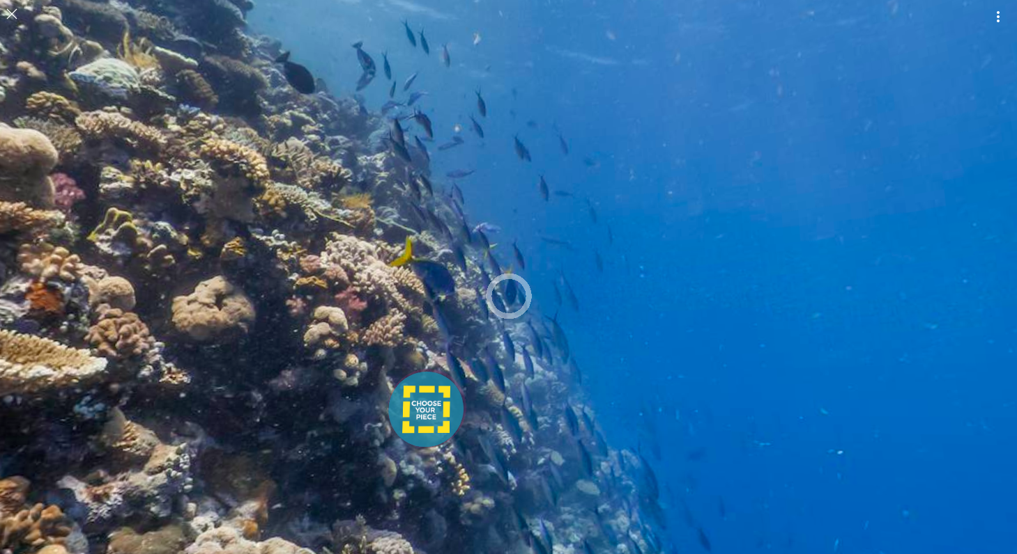 dans-ta-pub-WWF-Google-Its-Your-Reef-4