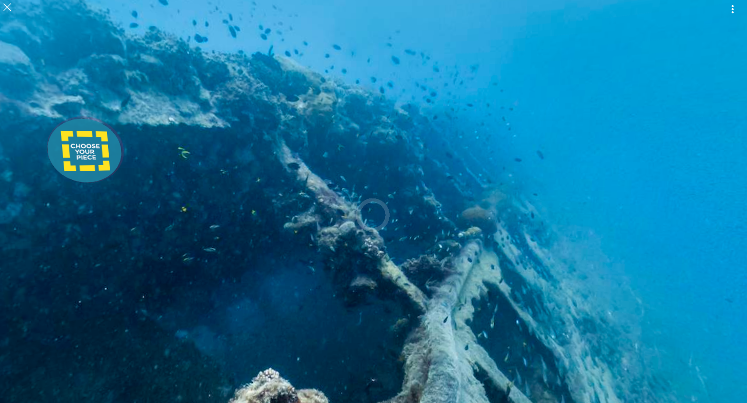 dans-ta-pub-WWF-Google-Its-Your-Reef-5