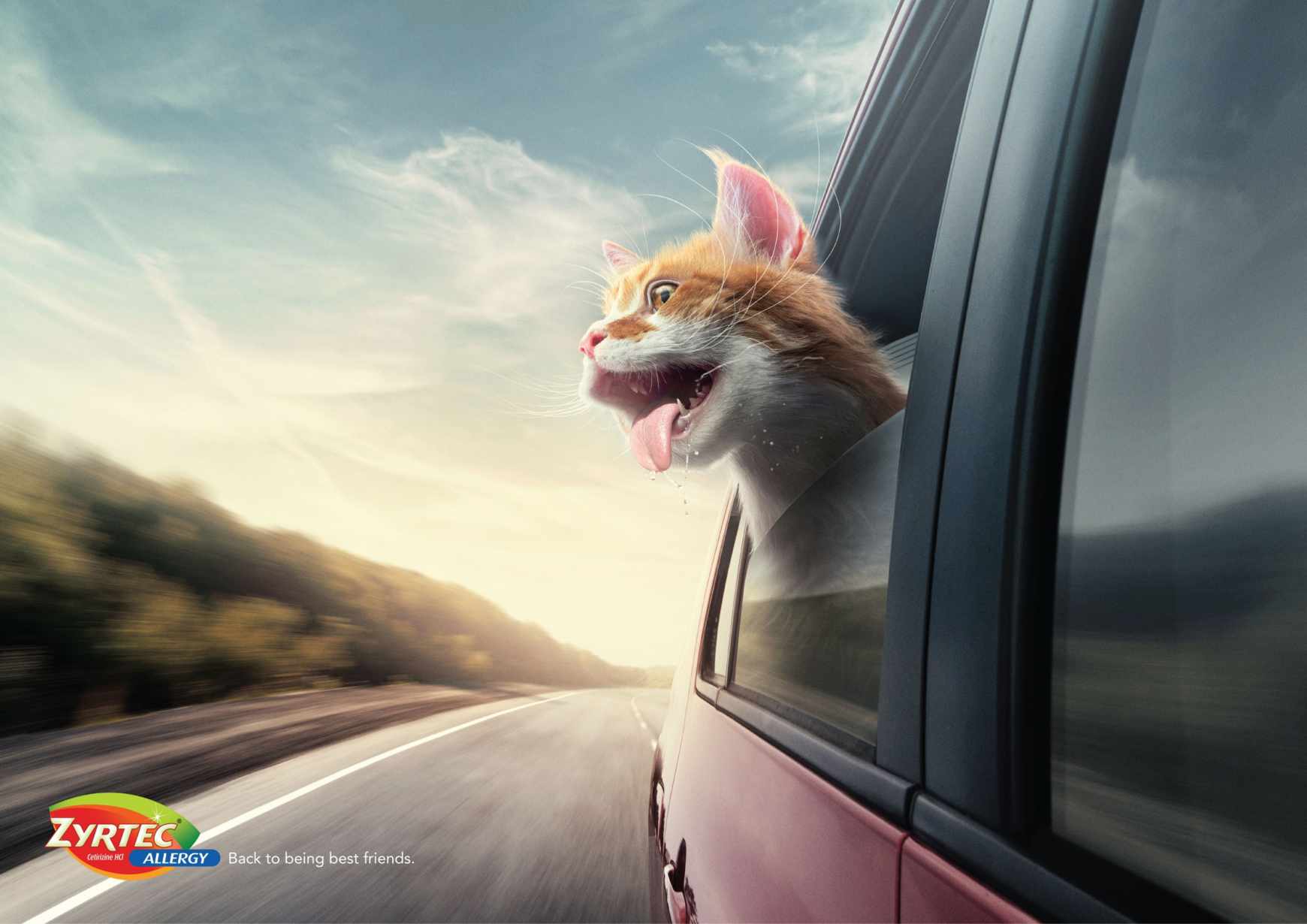 dans-ta-pub-compilation-publicité-créative-affiche-publicitaire-80-8