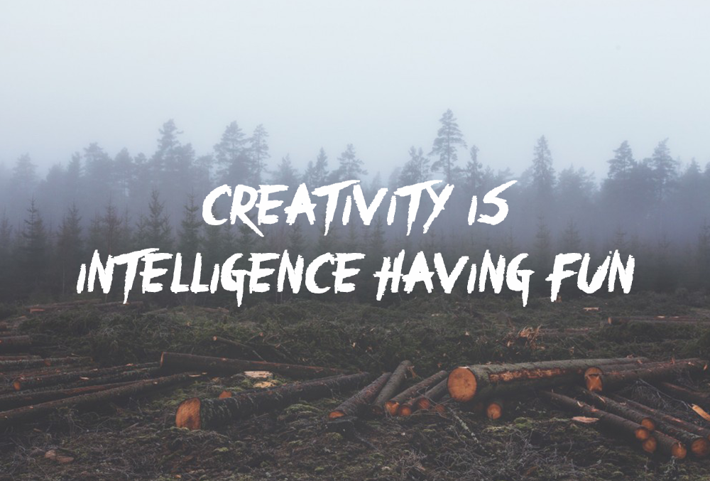 dans-ta-pub-creativity-creative-having-fun-quotes