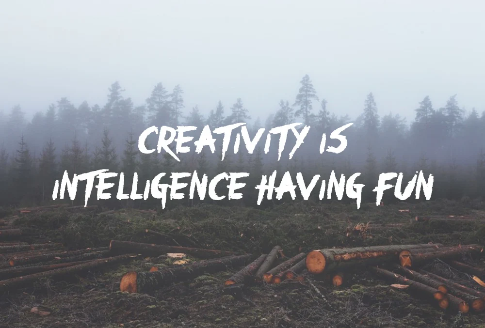 dans-ta-pub-creativity-creative-having-fun-quotes