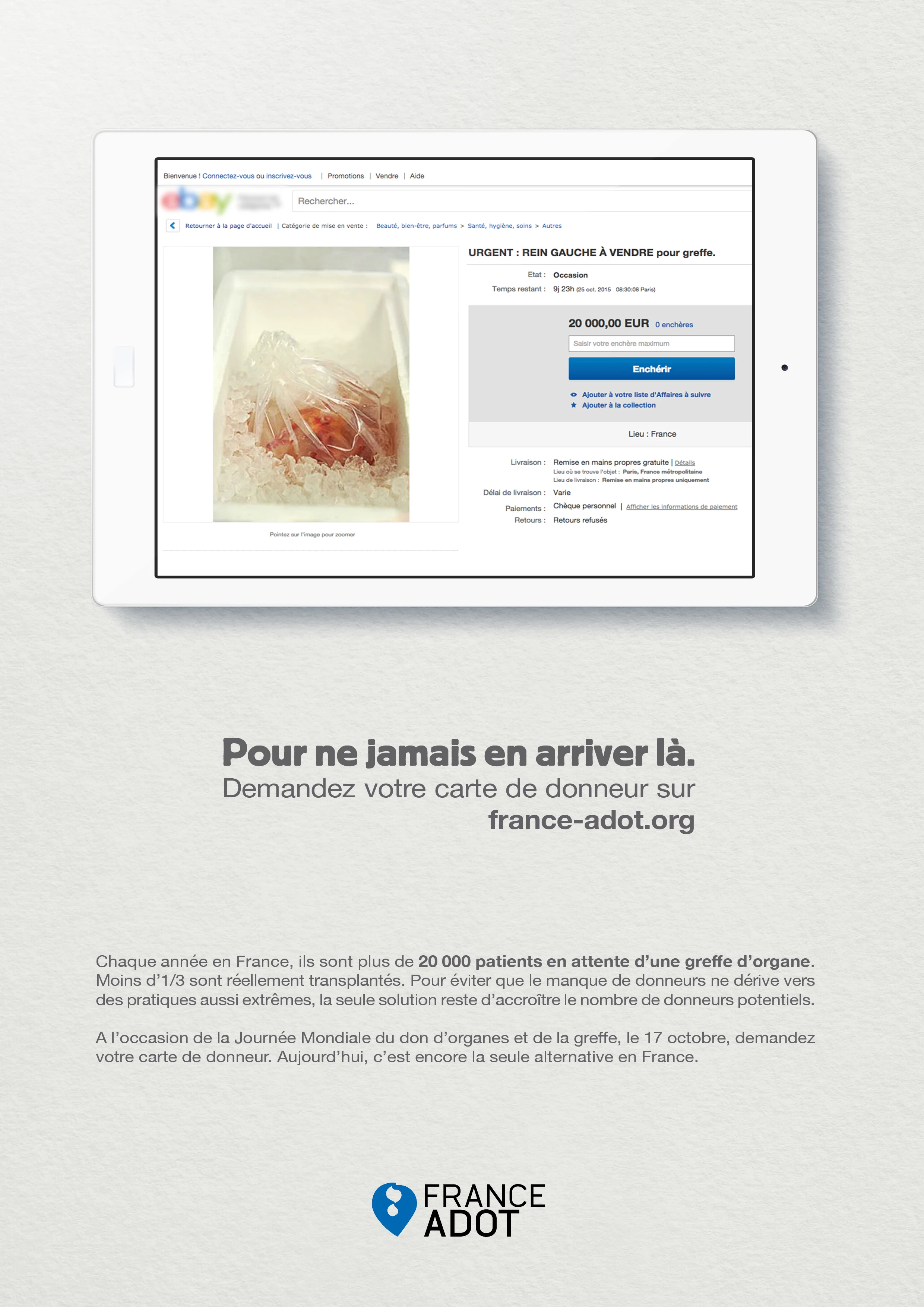 dans-ta-pub-ebay-organe-rein-femme-don-d'organe-2