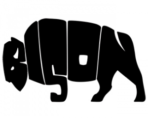 dans-ta-pub-logo-bison