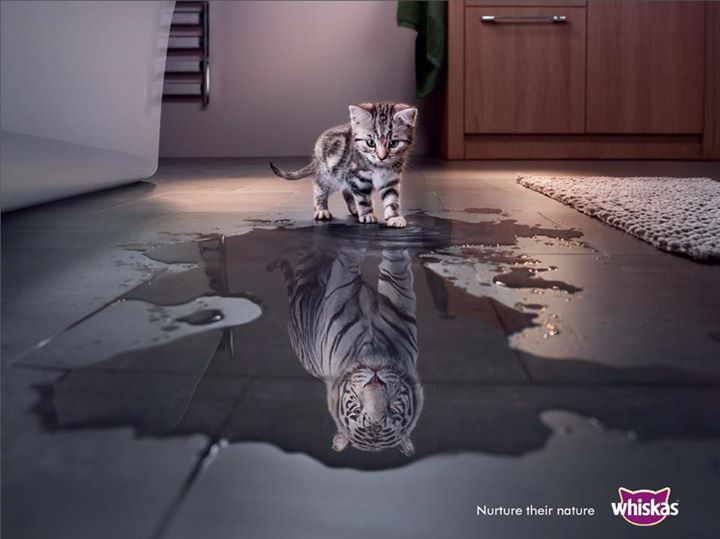 dans-ta-pub-publicité-compilation-créativité-affiche-print-10