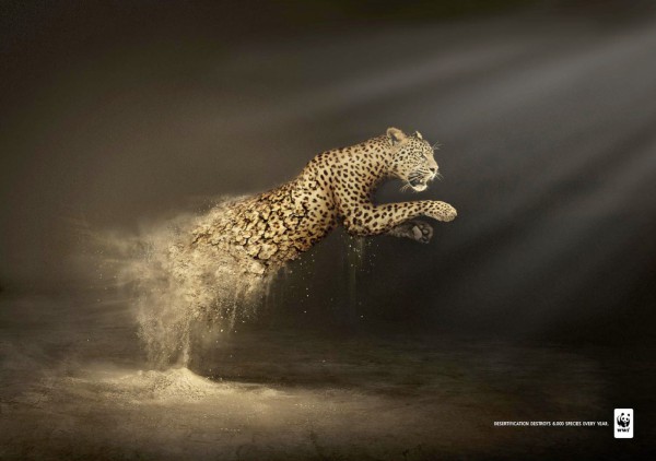 dans-ta-pub-publicité-compilation-wwf-création-print-affiche-1
