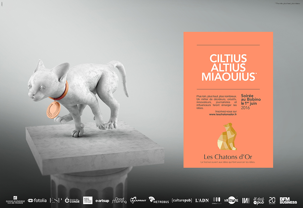 Les Chatons d'Or 2016 (2)