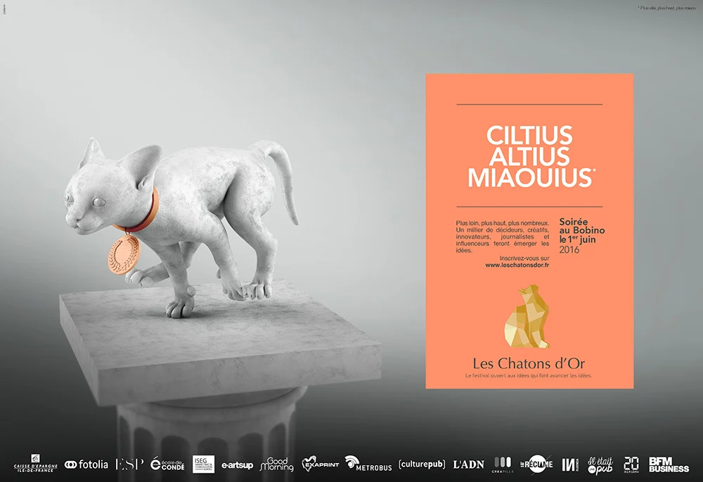 Les Chatons d'Or 2016 (2)