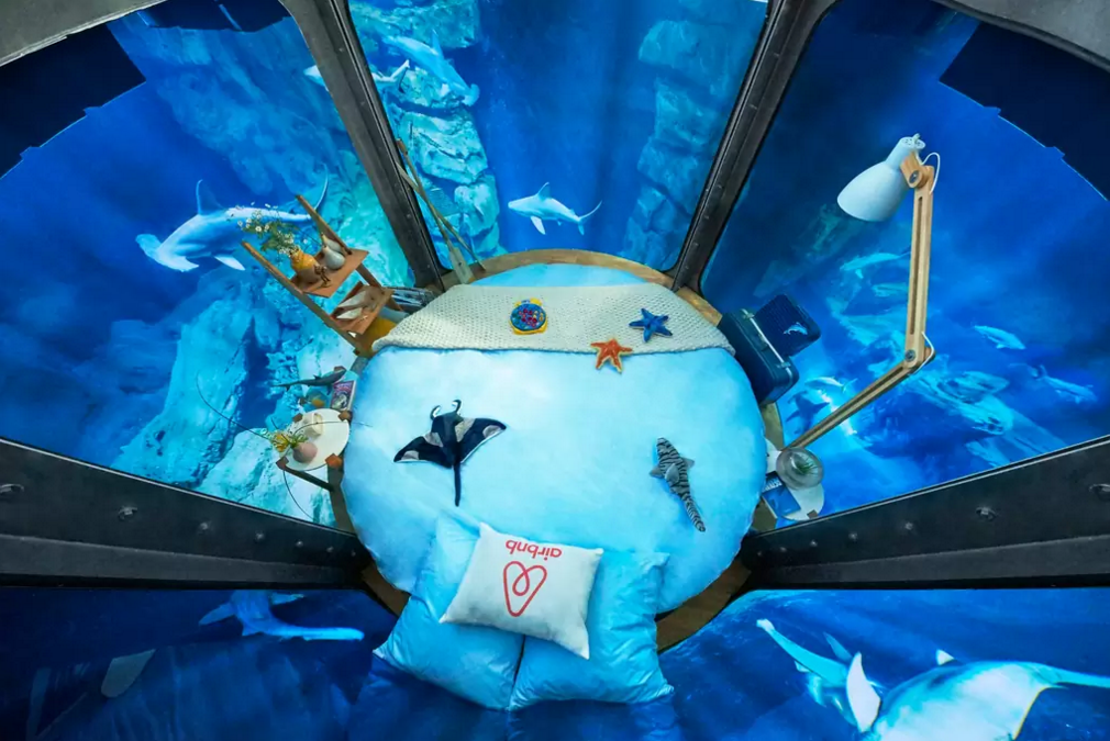 dans-ta-pub-airbnb-ubi-bene-aquarium-paris-chambre-requin-1