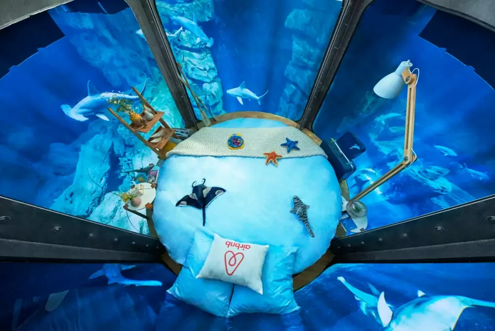 dans-ta-pub-airbnb-ubi-bene-aquarium-paris-chambre-requin-1