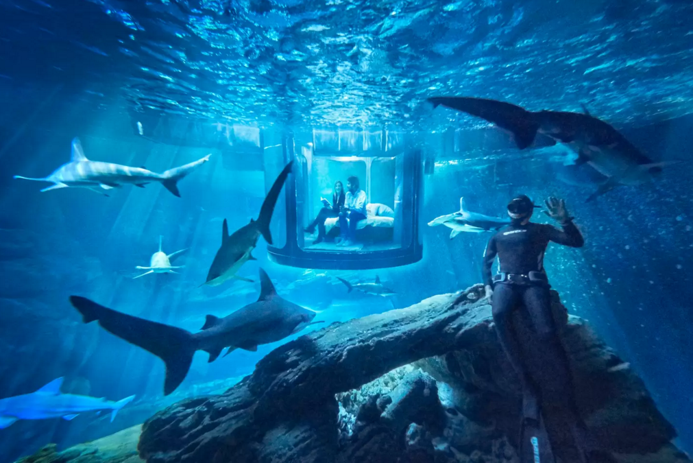 dans-ta-pub-airbnb-ubi-bene-aquarium-paris-chambre-requin-3