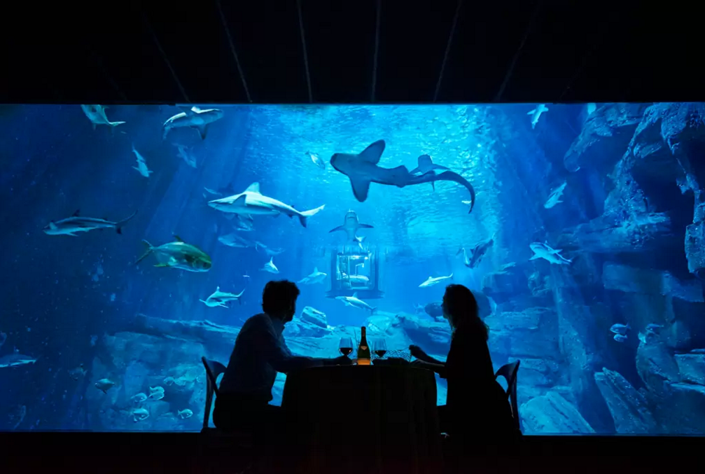 dans-ta-pub-airbnb-ubi-bene-aquarium-paris-chambre-requin-4