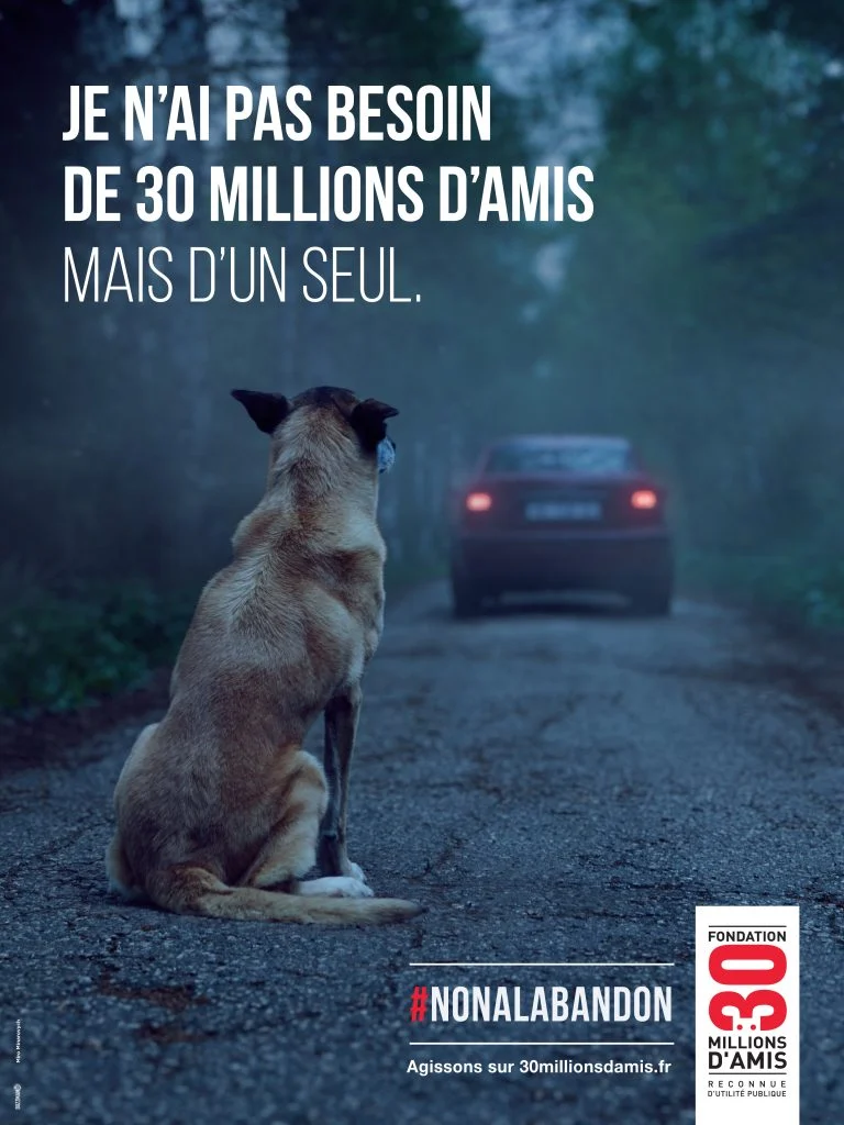 dans-ta-pub-30-millions-d-amis-abandon-buzzman-campagne-2016-2