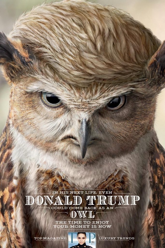 dans-ta-pub-publicite-donald-trump-usa-americain-3