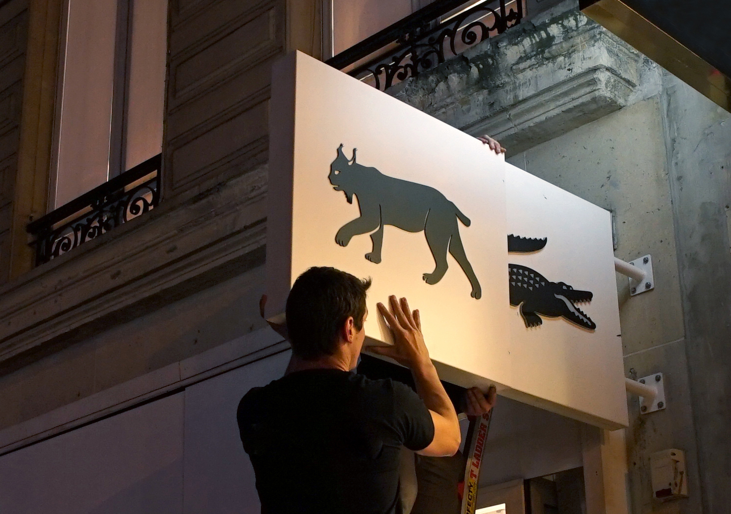 Lacoste change le logo de ses magasins pour sauver les en voie de disparition