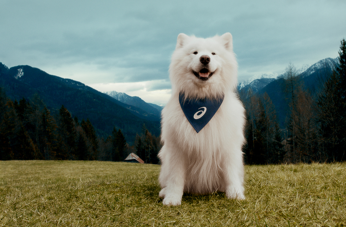 Asics présente Félix, le premier chien ambassadeur pour le sport