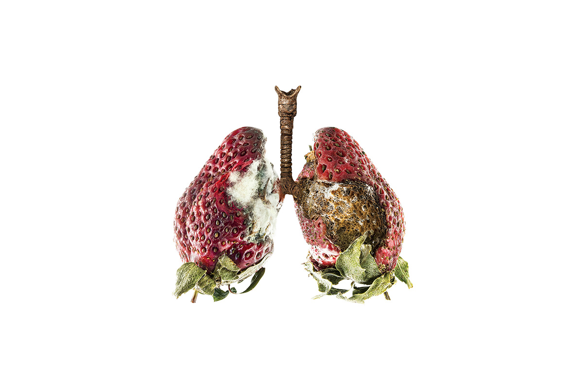 Fraise ou cancer ? Une campagne choc contre les gots de la cigarette  lectronique