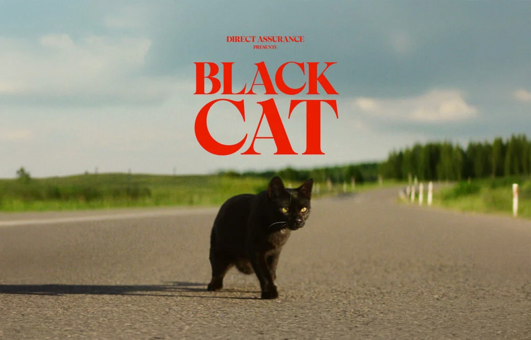 Black Cat, Artefact 3000 pour Direct Assurance