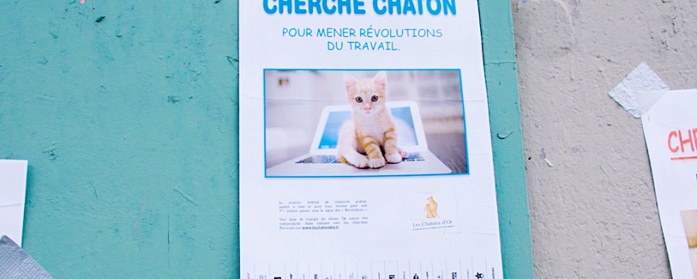 0 Chatons d'Or 2018 Guérilla Cherche Chaton - Révolutions du travail