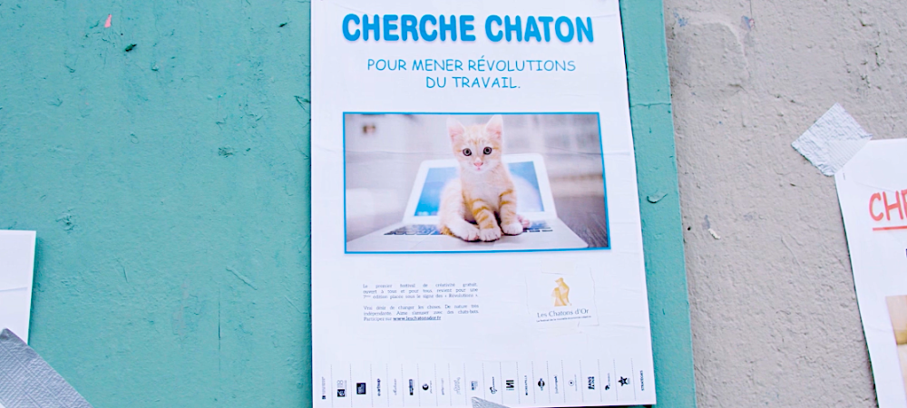 0 Chatons d'Or 2018 Guérilla Cherche Chaton - Révolutions du travail