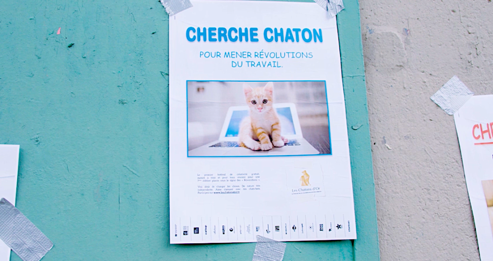 0 Chatons d'Or 2018 Guérilla Cherche Chaton - Révolutions du travail