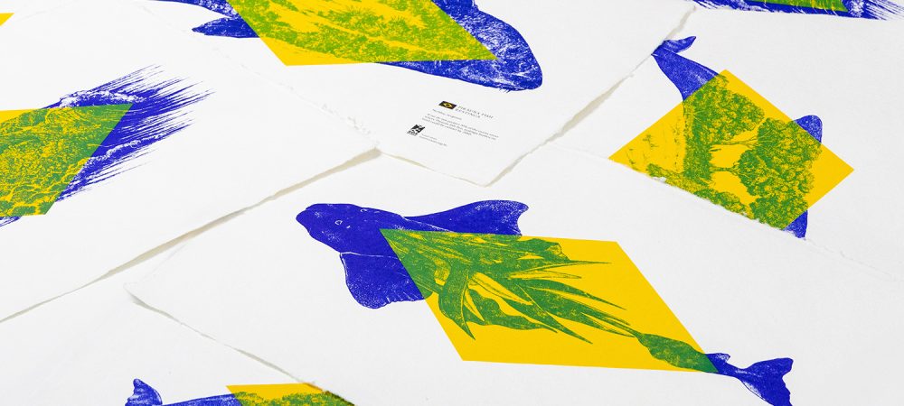 17_SOS_Oceanos_gravuras1