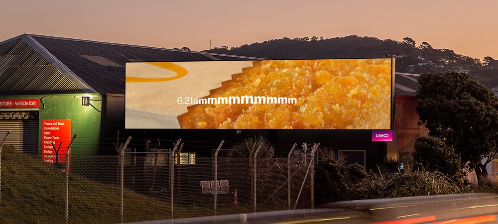 1Rongotai-Night-HashBrown