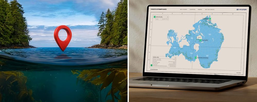 1kv-forests-without-names-mo_dim