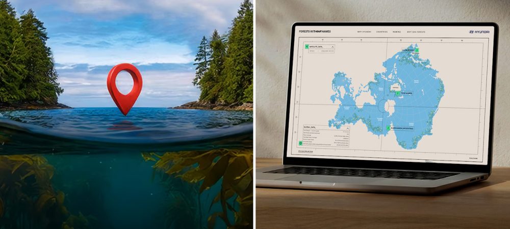1kv-forests-without-names-mo_dim