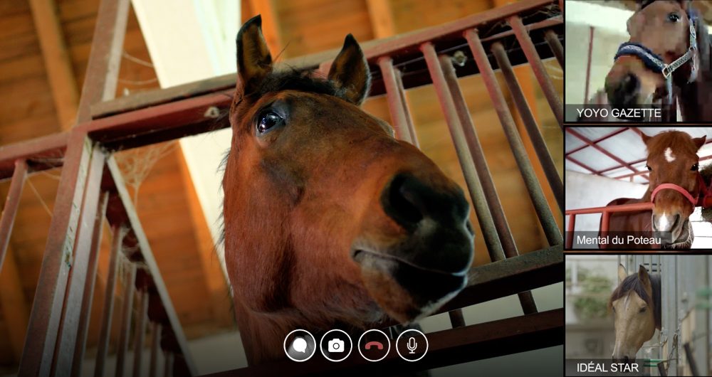 2000x875-v2