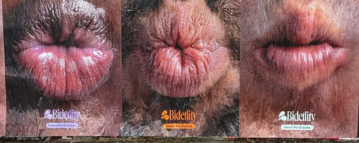 BDLT_Wildposter-3