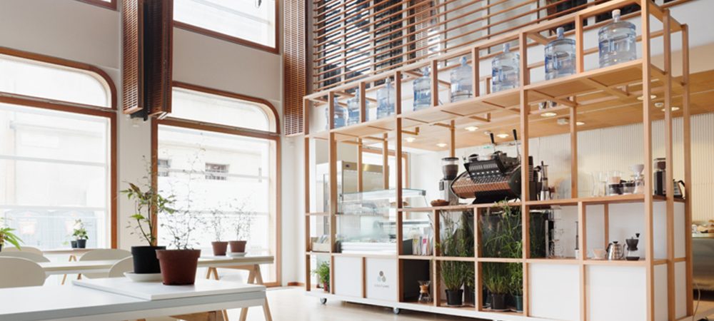 copyright david foessel