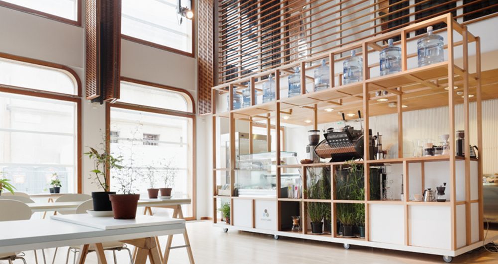 copyright david foessel