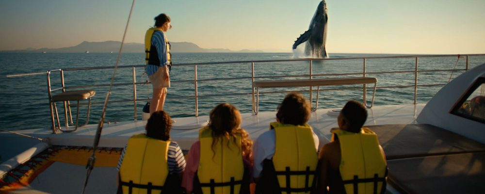 FREE_FREE MAX_VISUEL_2