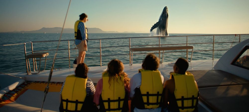 FREE_FREE MAX_VISUEL_2