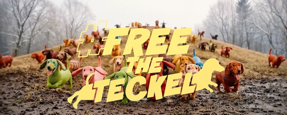 Free the teckel Steve Effie 2