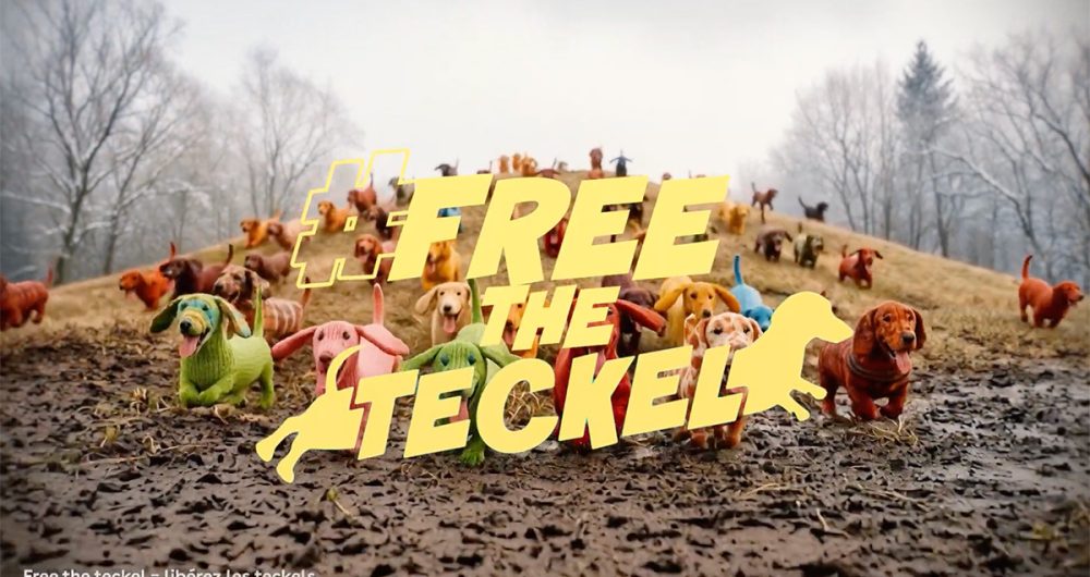 Free the teckel Steve Effie 2