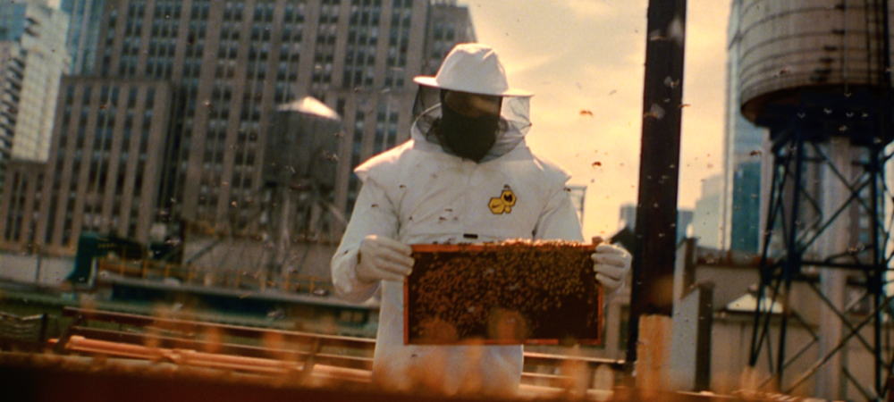 HIVE_THUMB