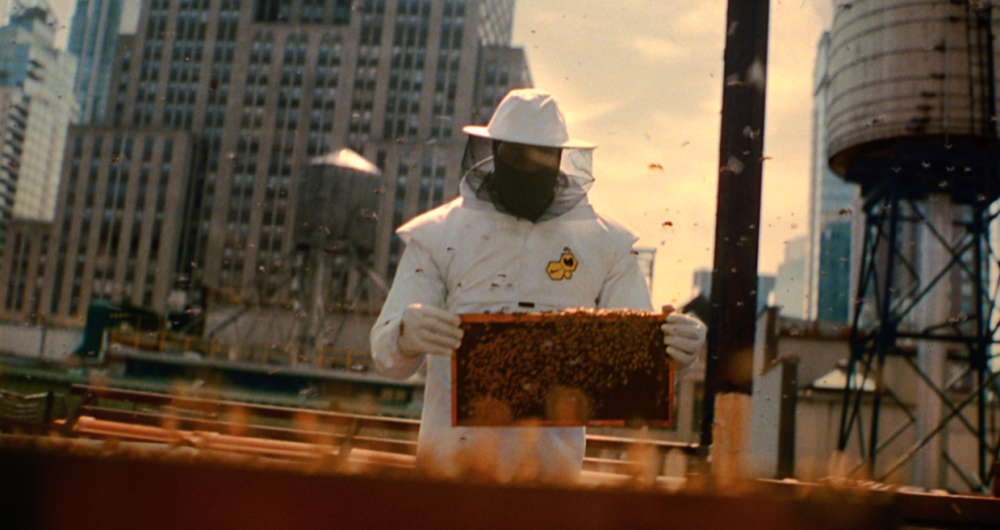 HIVE_THUMB