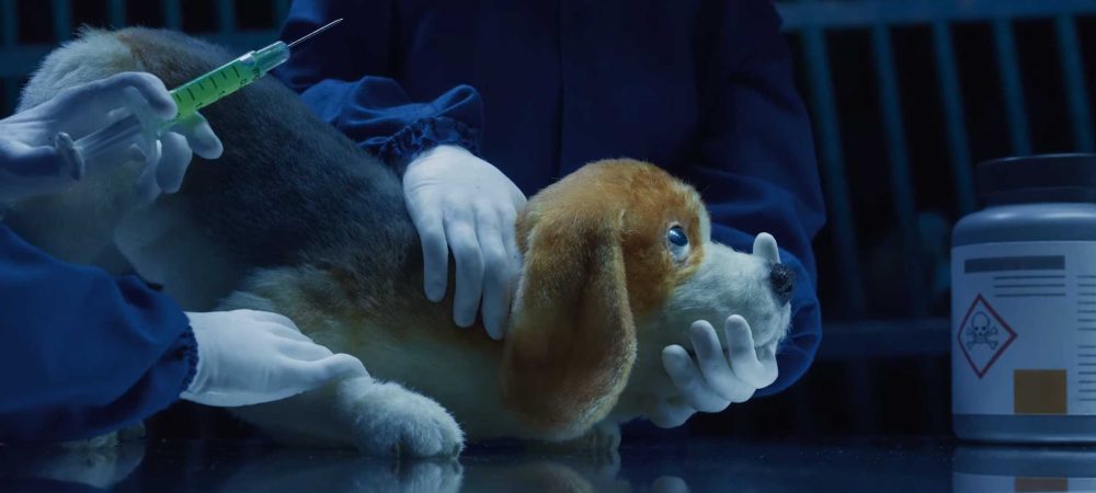 Humane-World-for-Animals-Rebrand-film-by-Nexus-and-Johnny-Kelly3
