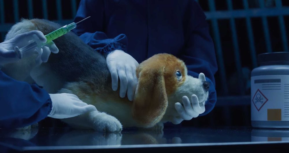 Humane-World-for-Animals-Rebrand-film-by-Nexus-and-Johnny-Kelly3