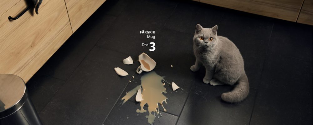 IKEA-Pet-Accidents-1-1711456029