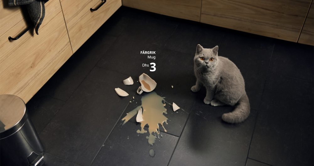 IKEA-Pet-Accidents-1-1711456029