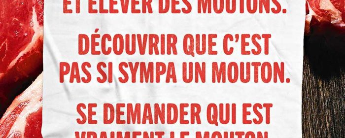MM_VISUEL_ABRIBUS_5