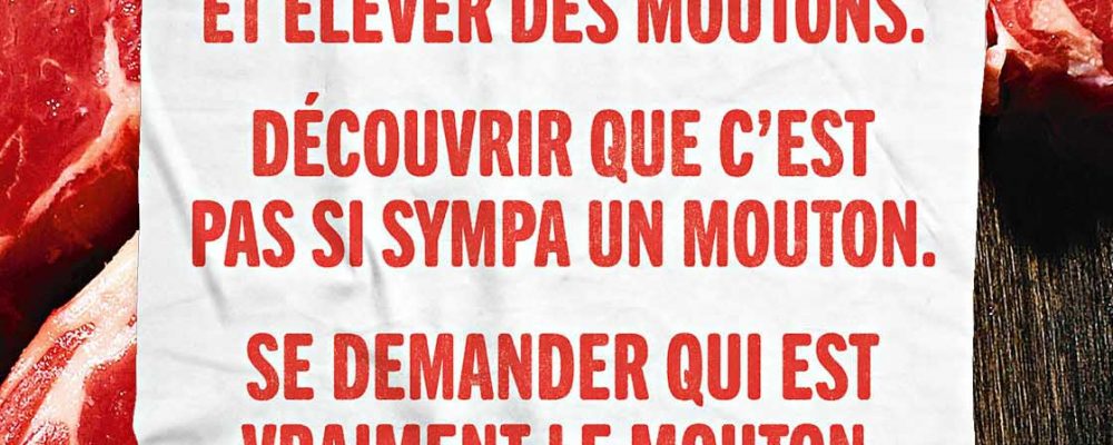 MM_VISUEL_ABRIBUS_5