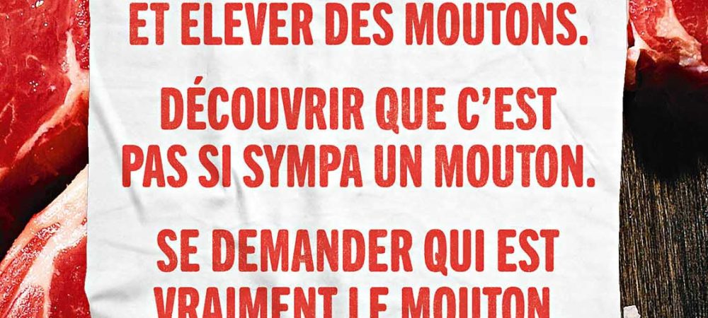 MM_VISUEL_ABRIBUS_5