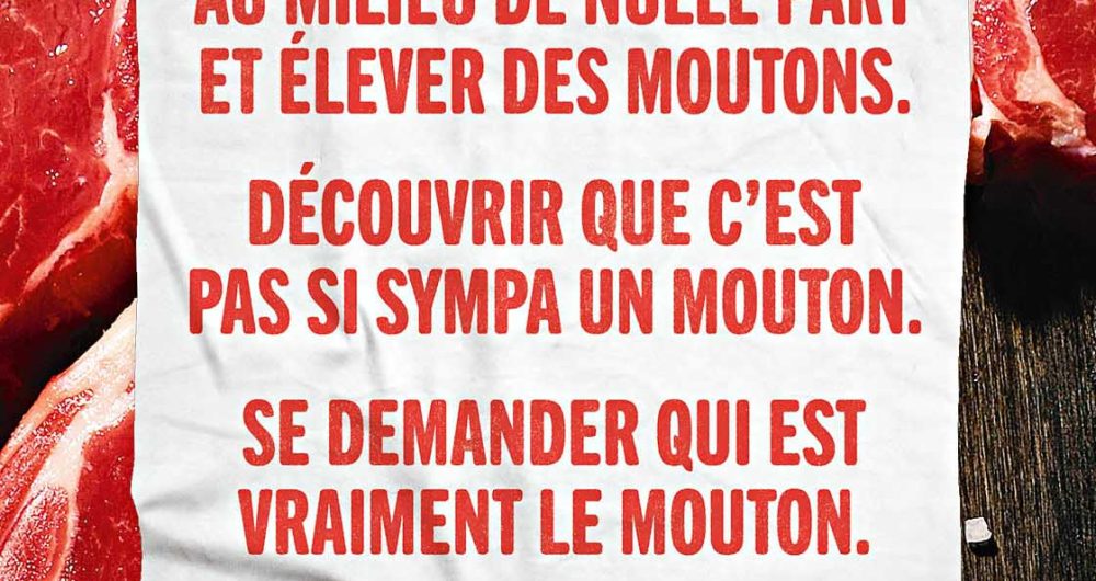 MM_VISUEL_ABRIBUS_5